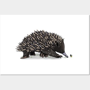 Cute echidna with bee cartoon Posters and Art